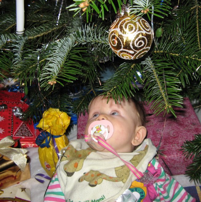 Frieda unter dem Tannenbaum