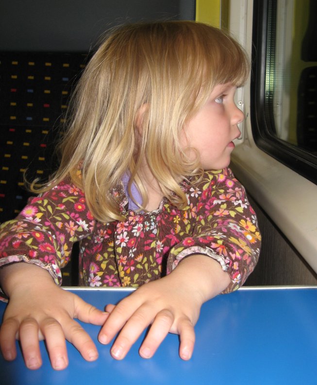 Frieda im Zug