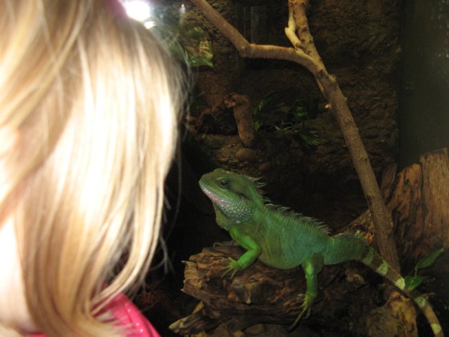 Frieda im Vivarium des Basler Zoos