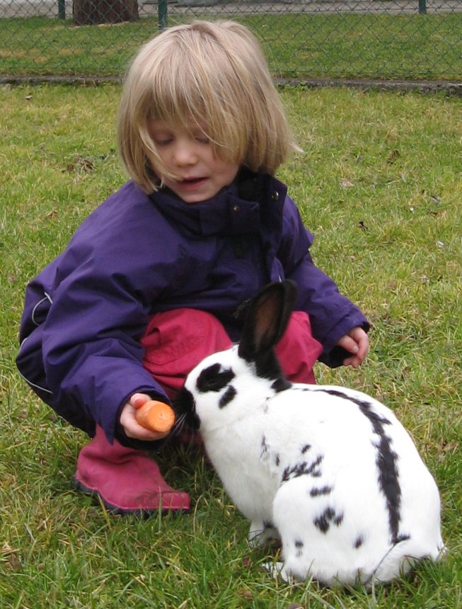 Frieda hütet Nachbars Kaninchen