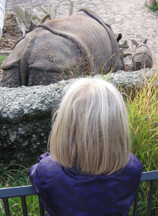 Frieda bestaunt ein Nashorn mit seinem Jungen im Basler Zoo