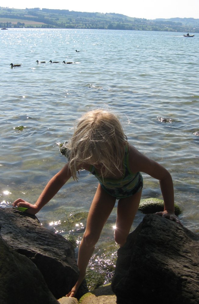 Frieda badet im Sempachersee