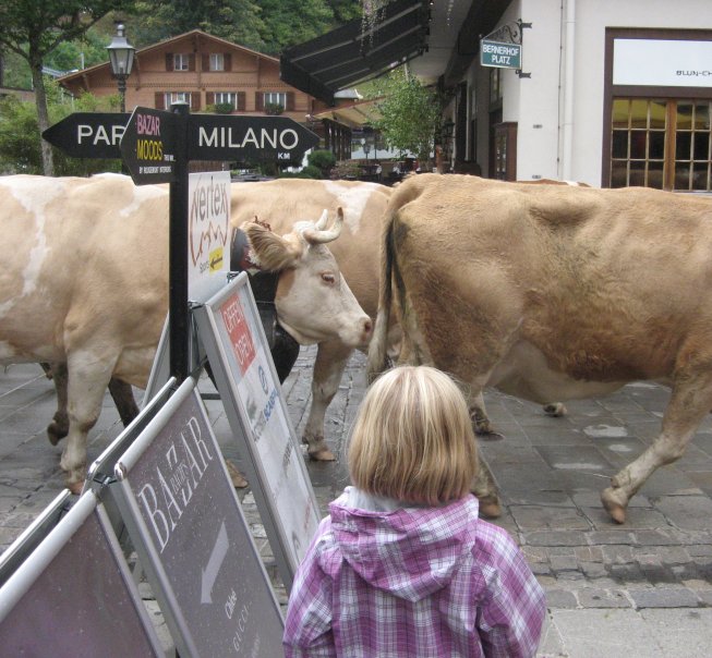 Frieda beim Alpabzug in Gstaad