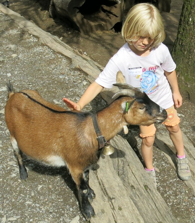 Frieda mit einer Ziege im Freilichtmuseum Ballenberg