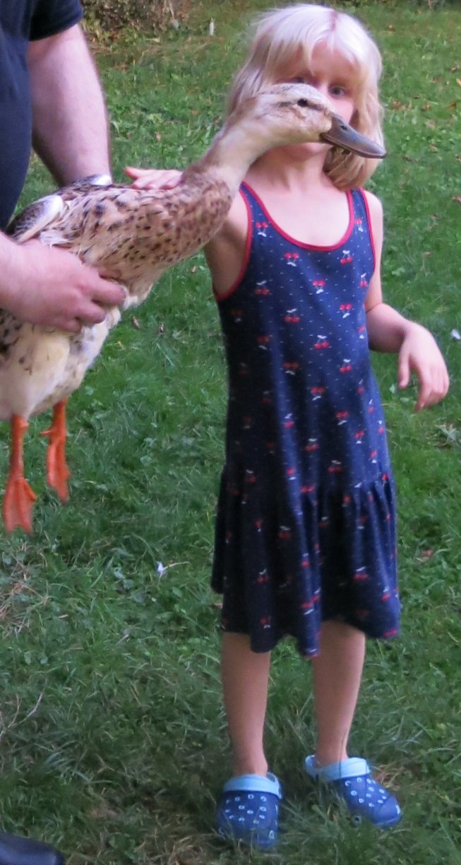 Frieda streichelt eine Ente
